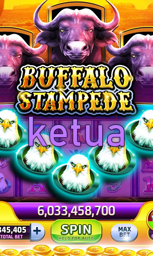 ketua Akses